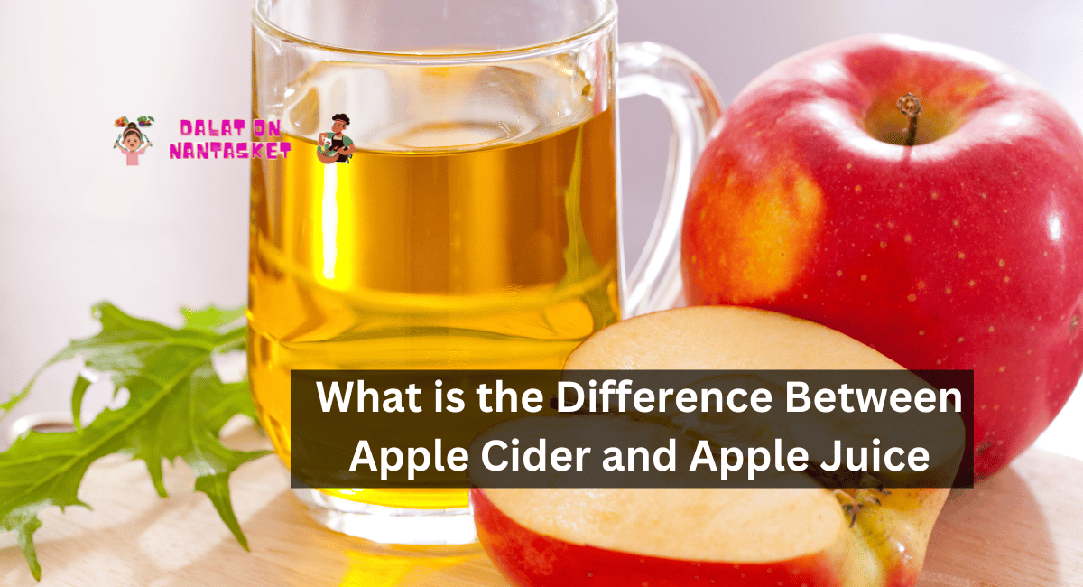What is the Difference Between Apple Cider and Apple Juice